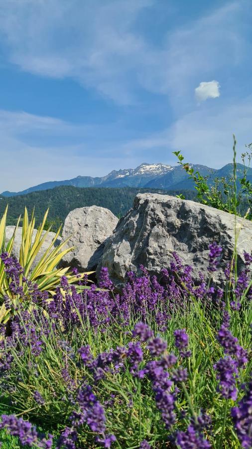 Le Refuge Du Montagnard Bed and Breakfast Marthod Εξωτερικό φωτογραφία