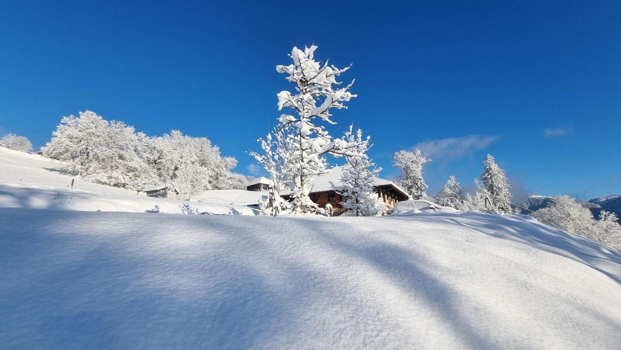 Le Refuge Du Montagnard Bed and Breakfast Marthod Εξωτερικό φωτογραφία